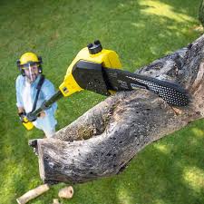 Reliable Winfield, IN Tree Removal and Landscaping Services Solutions